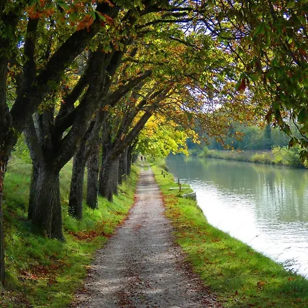 Maison Eglantine Historic 4 Star With Air Conditioning Lejlighed Carcassonne