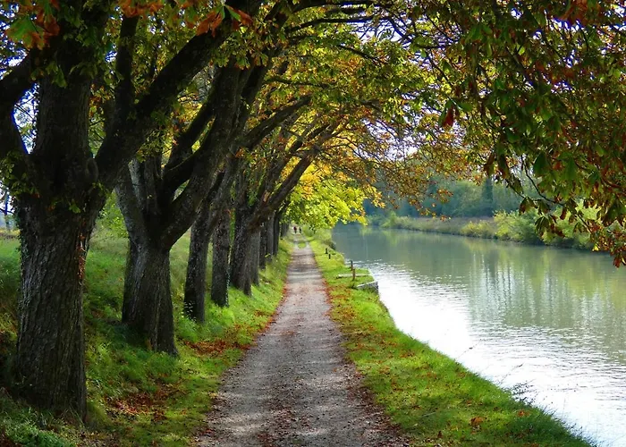 Maison Eglantine Historic 4 Star With Air Conditioning 아파트 카르카손